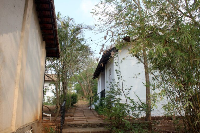 Steps and path between two cottages
