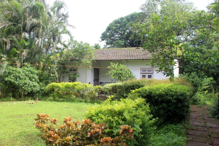 Cottage behind a garden of flowering shrubs