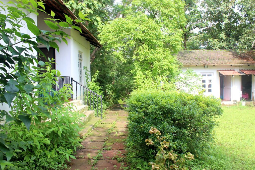 Stone path between cottages surrounded by greenery