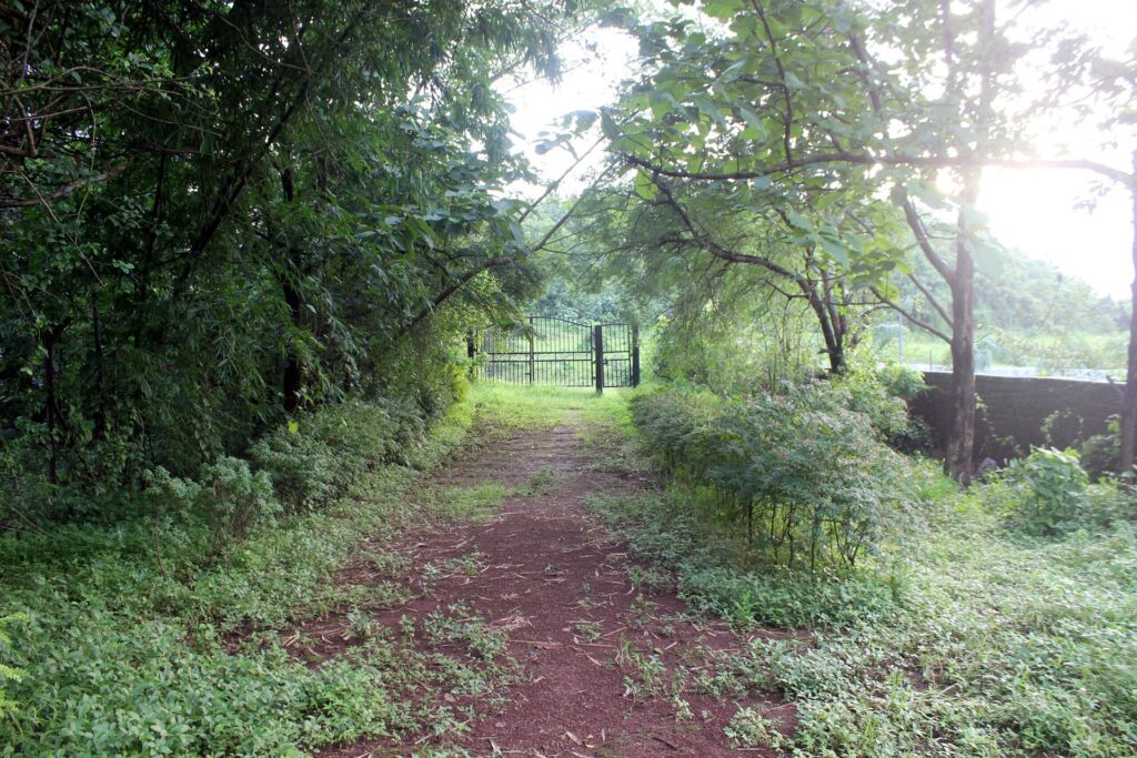 Tree-lined path leading to the retreat gate