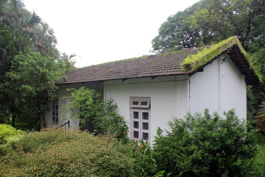 Cottage with a moss-covered roof