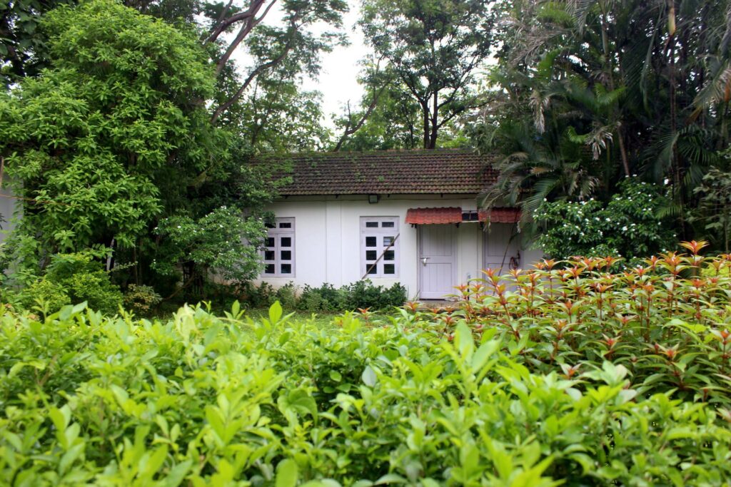 A cottage set among trees and flowering shrubs