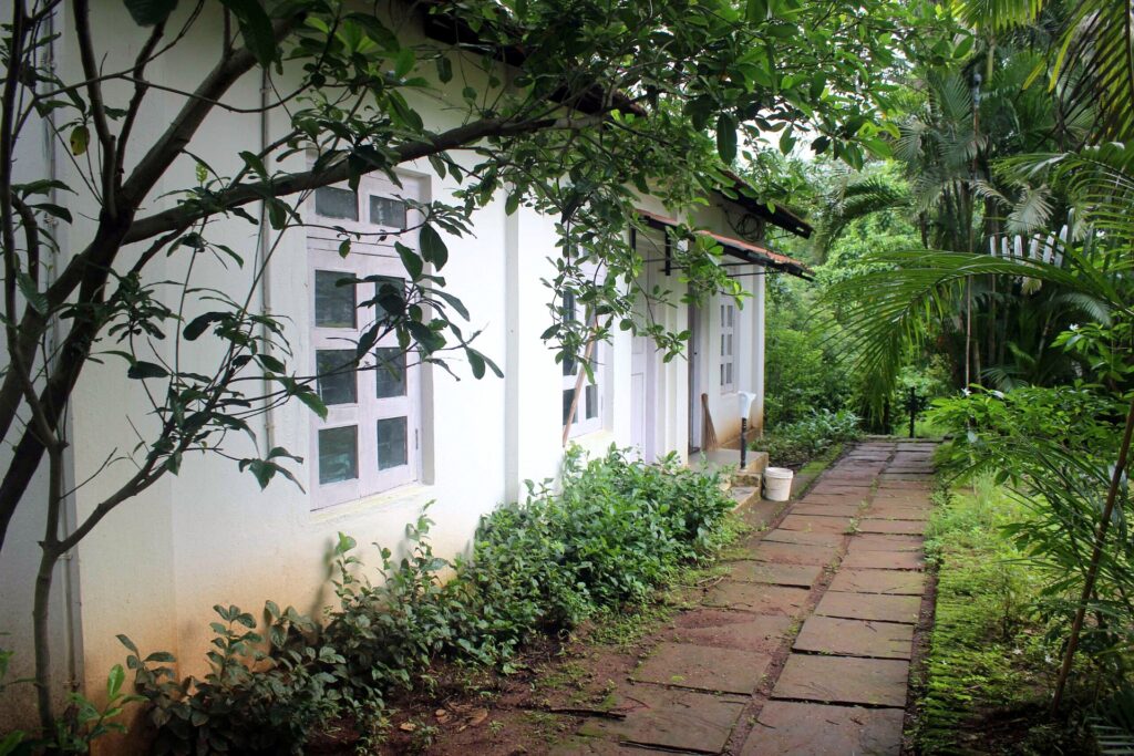Paved walkway alongside the cottages