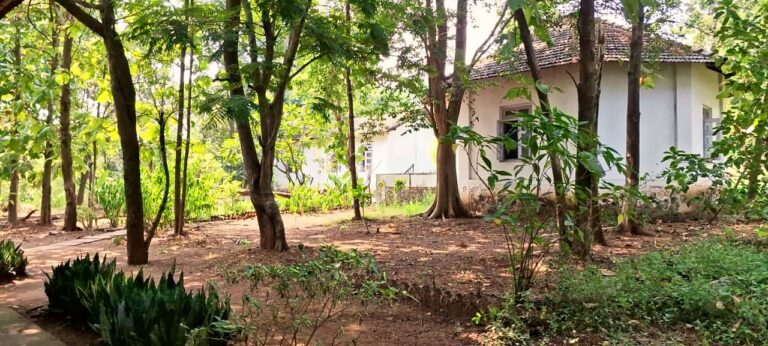 A cottage among the trees on the retreat grounds