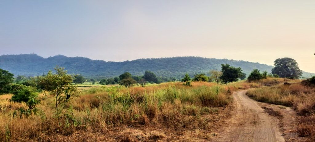 The open land and hills around Anand Vihar