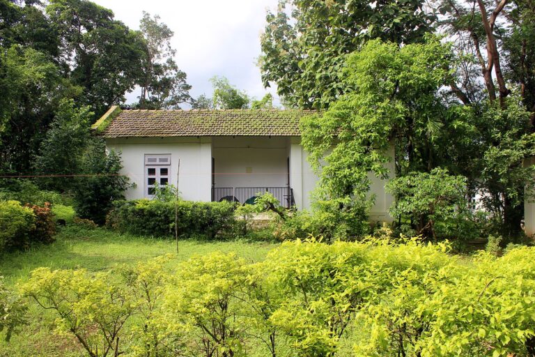 Cottage behind a bank of yellow-green shrubs