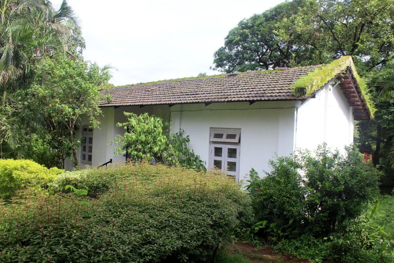 Cottage with a moss-covered roof
