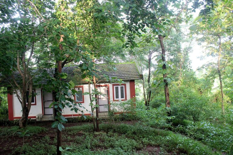 Red-trimmed cottage among the trees
