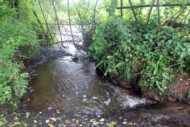A monsoon stream running past the grounds