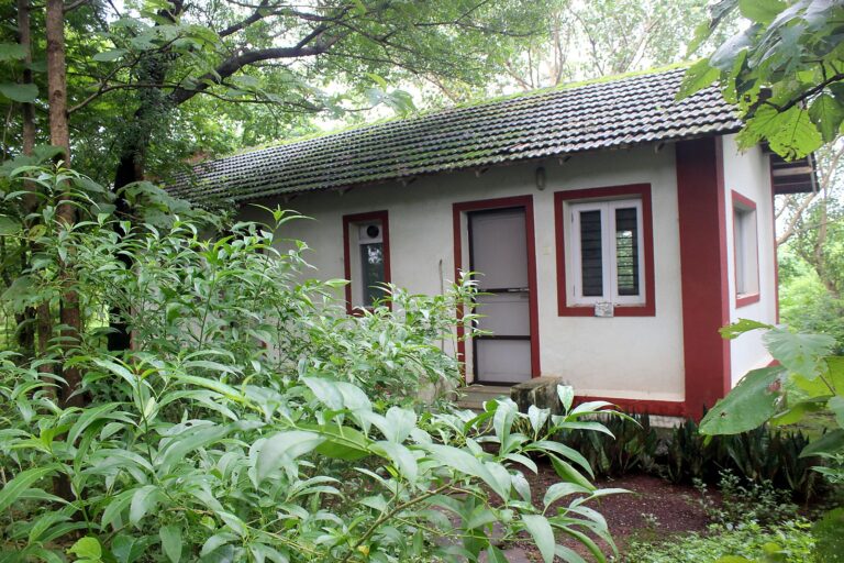 Cottage with red window frames in the greenery