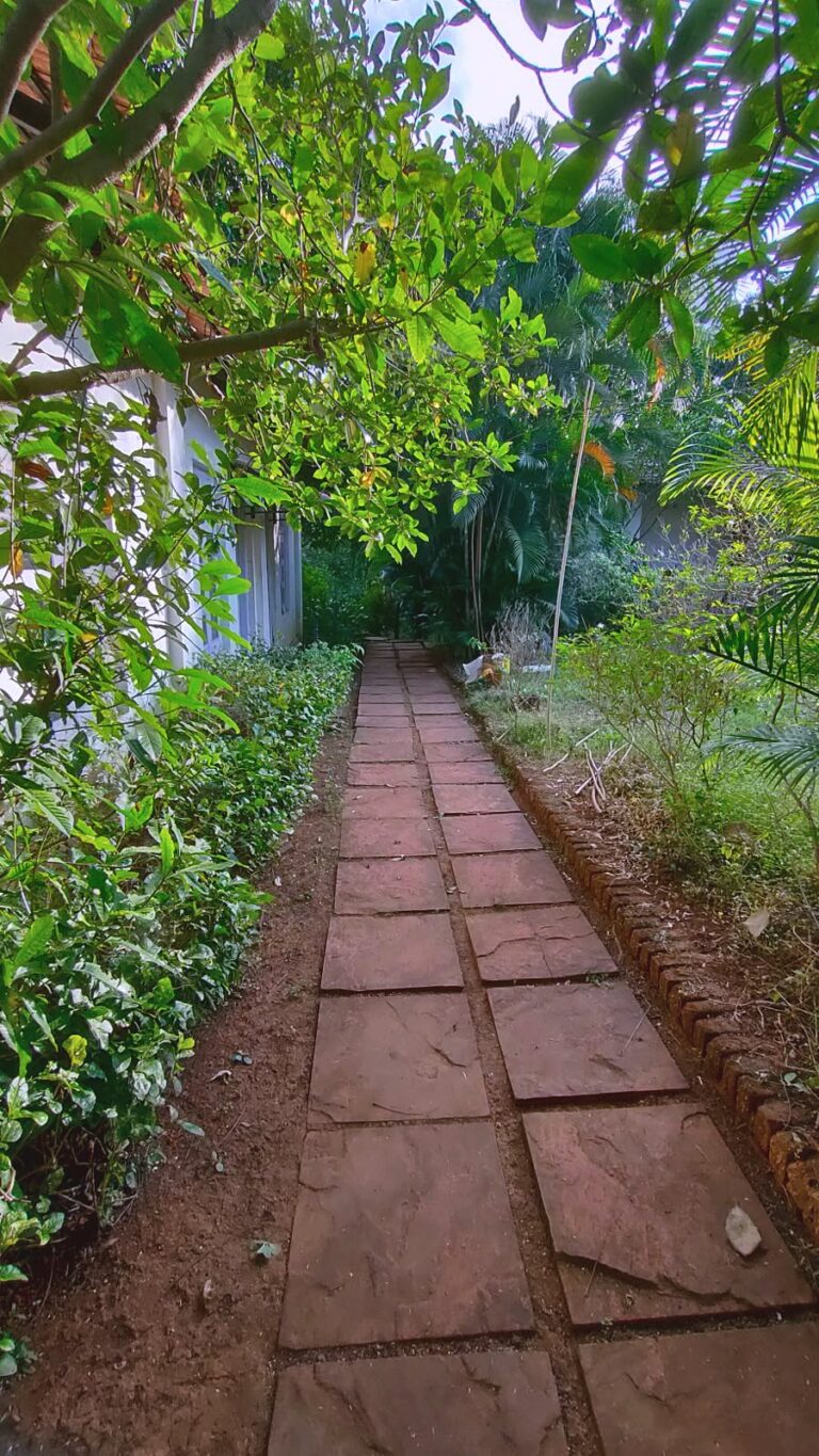 A shaded stone path between the cottages