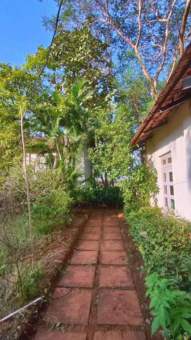 A brick path beside a cottage