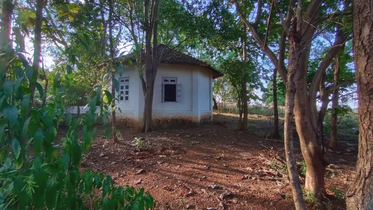 A cottage among the trees