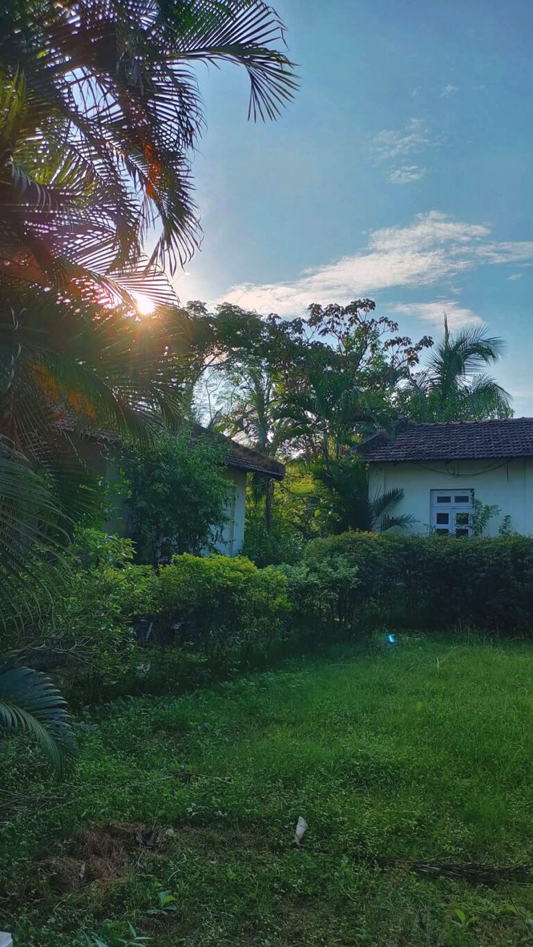 A cottage beyond the lawn and garden