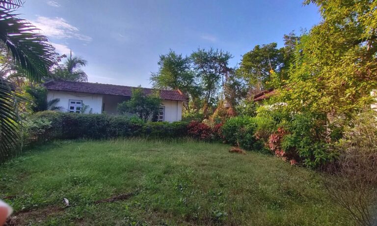 A cottage across the green lawn