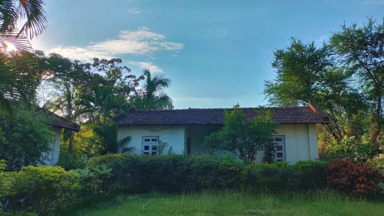 A cottage behind a neat hedge