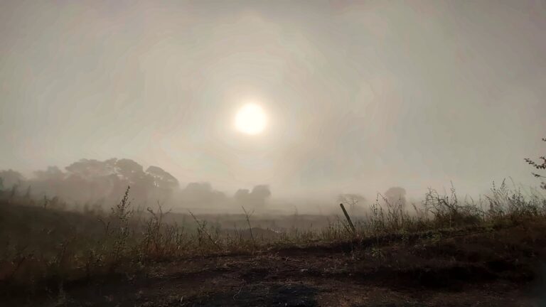 The sun rising over a misty field
