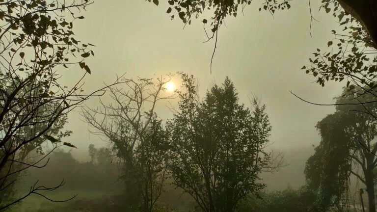 The low sun glowing through the fog