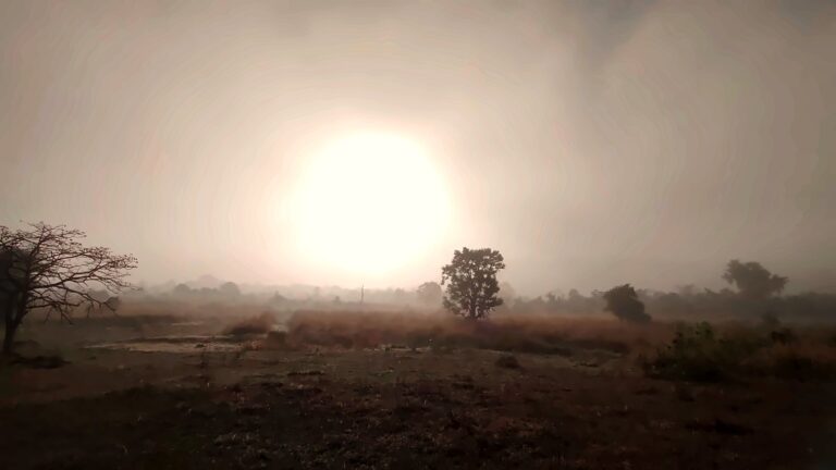 The sun burning through thick fog over the field