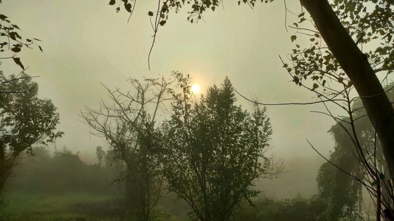 The sun like a moon through the morning mist