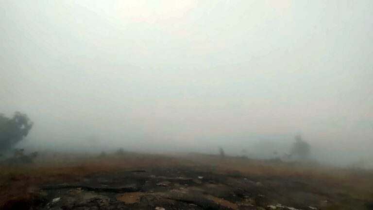 Fog rolling over the open land