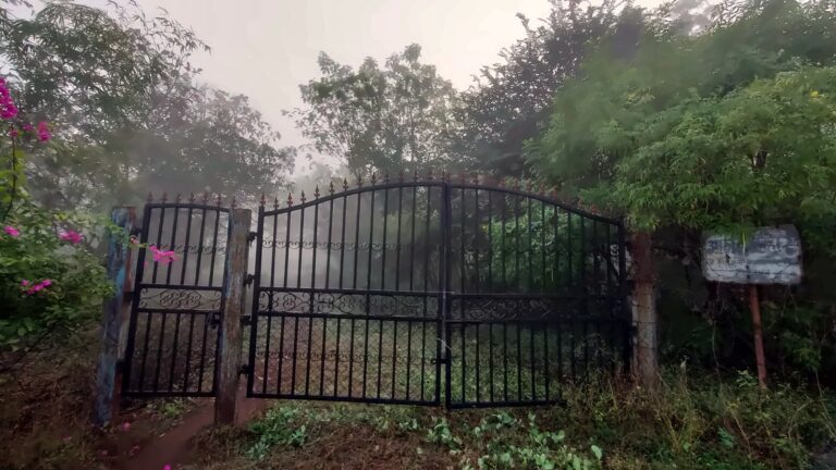 The gate of Anand Vihar in the mist
